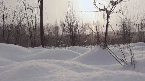Sunset and snowfall. Stock Footage 87119369