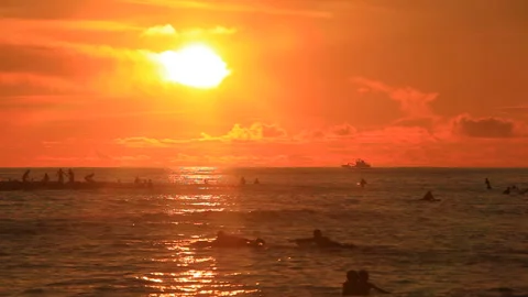 Sunset and Surfer Видео 330217552