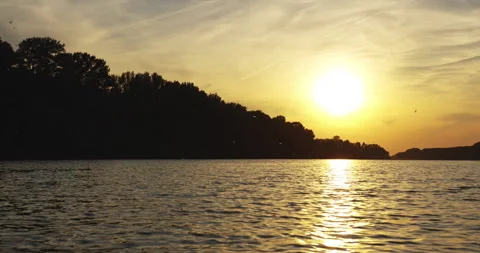Sunset and swarm of long-tailed mayflies swarming above Tisza river Stock Footage 263052709