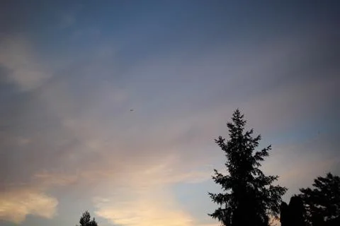 Sunset and the tops of trees 스톡 사진