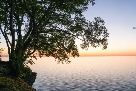 Sunset and tree clinging to the cliff Stock Footage 128165832