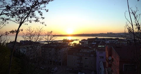 Sunset and Tree Stock Footage 86405330