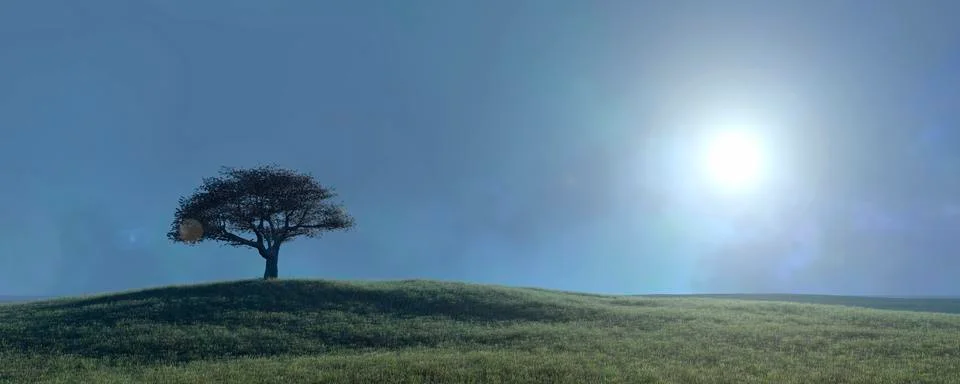 Sunset and tree Stock Illustration