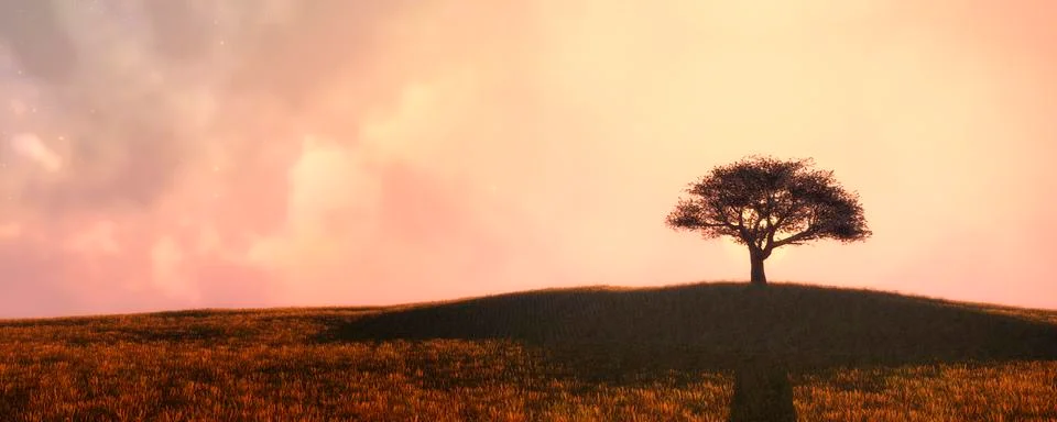 Sunset and tree Stock Illustration