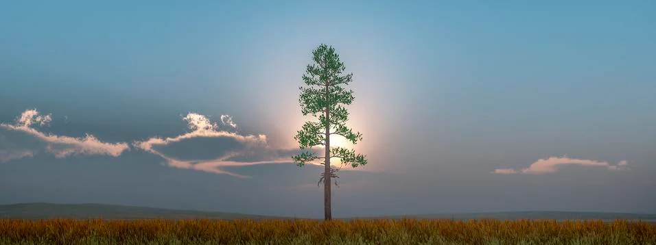 Sunset and tree Stock Illustration