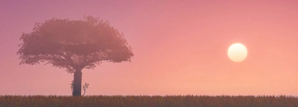 Sunset and tree Stock Illustration