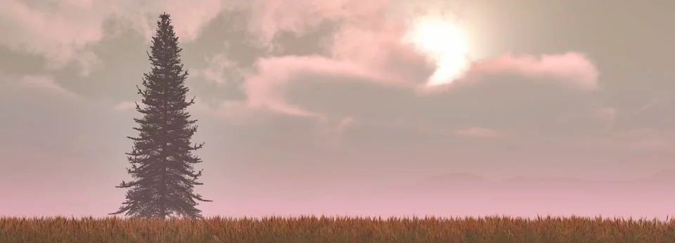 Sunset and tree Stock Illustration