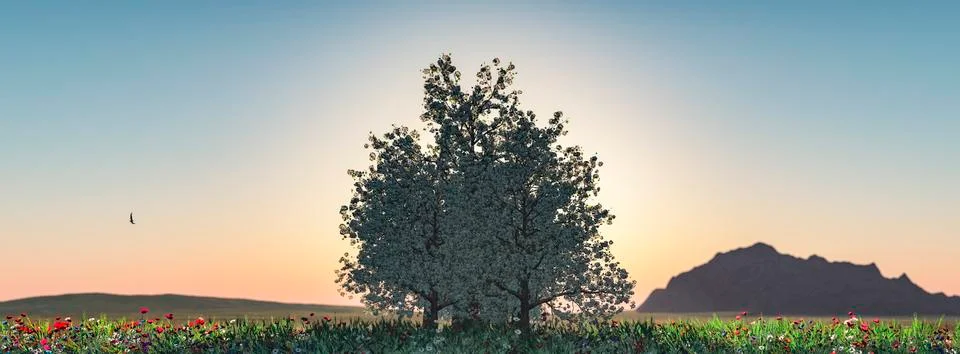 Sunset and tree Stock Illustration