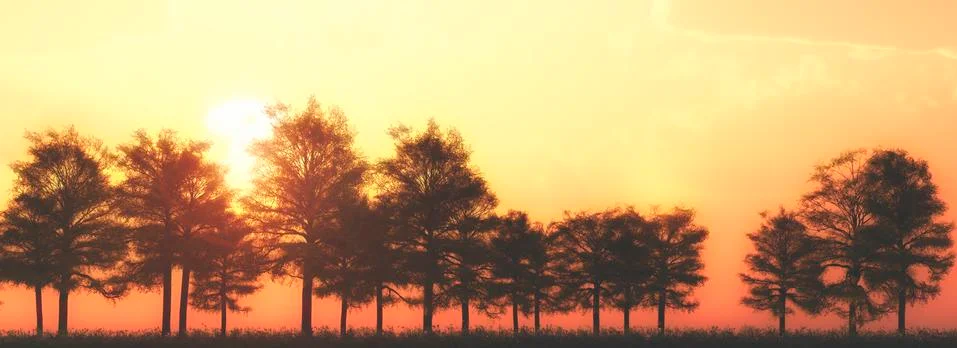 Sunset and tree Stock Illustration