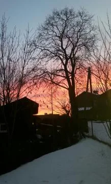 Sunset and a tree Stock Photos