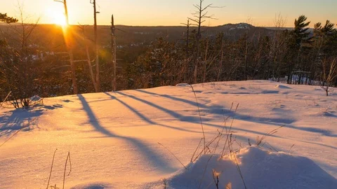 Sunset and tree shadows Stock Footage 100138466