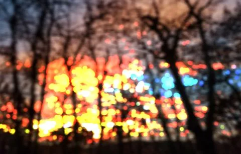 Sunset and tree silhouette bokeh Ilustración de archivo