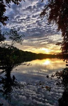 Sunset and trees are reflected in the lake. Germany Stock Photos