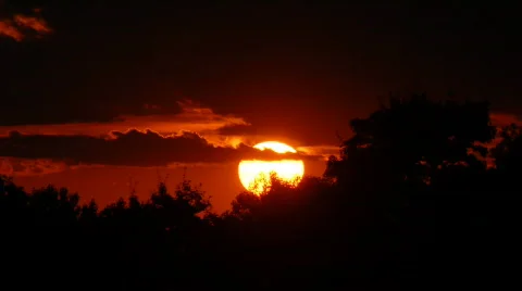 Sunset and Trees Stock Footage 514783