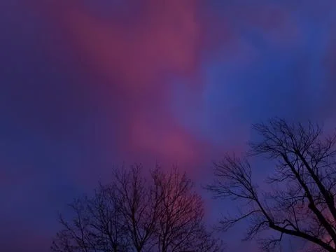 Sunset and trees Stock Photos