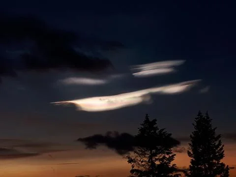 Sunset and trees Stock Photos