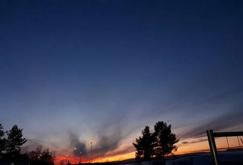 Sunset and trees Stock Photos