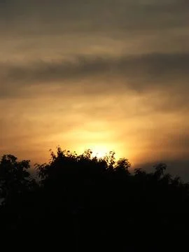 Sunset and trees Stock Photos