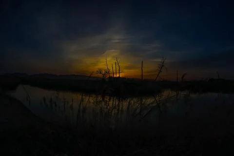 Sunset and trees reflected on the water surface Stock Photos