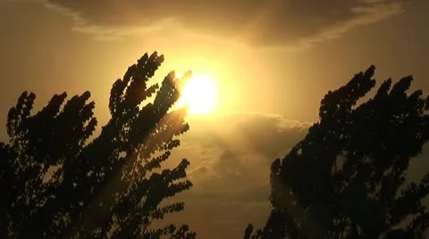 Sunset and trees  in summer Stock Footage 10734070