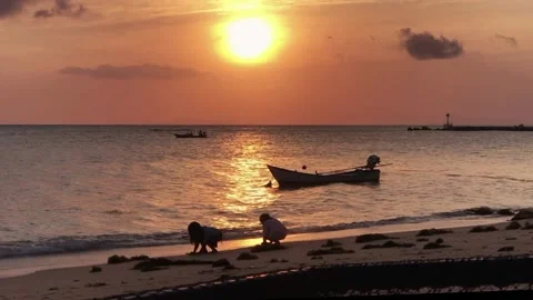 Sunset and two children Stock Footage 156163981
