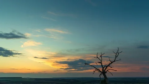 Sunset ans stars timelapse with clouds passing dead tree on foreground. Stock Footage 121418171