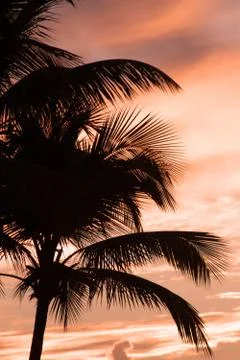 Sunset in Antigua Stock Photos