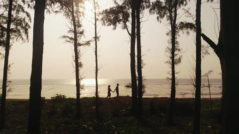 Sunset Ariel view Stock Footage 159114506