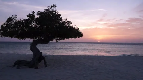 Sunset Aruba 動画素材 24389511