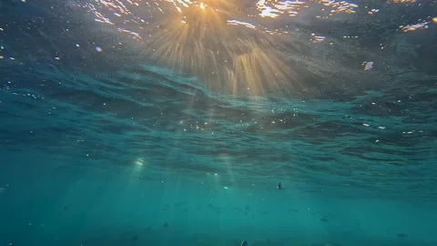 Sunset Ascent: Slow Motion Journey from Depths to Surface Stock Footage 264606663