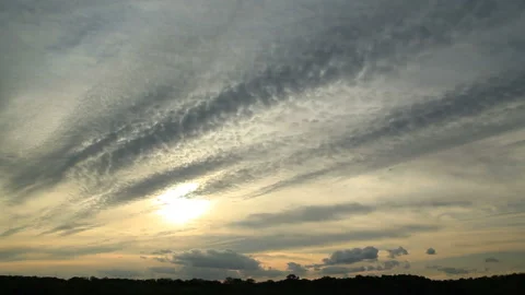 Sunset in Askania-Nova Stock Footage 296038609