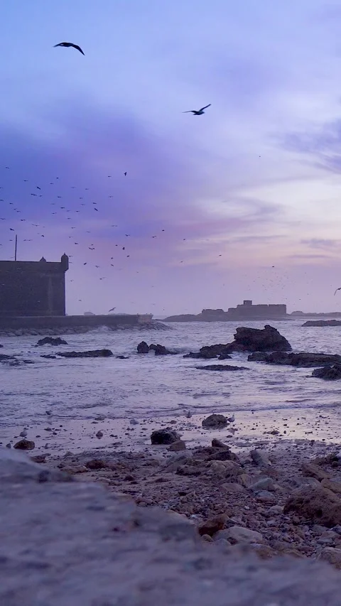 Sunset on the Atlantic coast of the ocean. Sea waves on a rocky shore. Seagulls Stock Footage 276484342