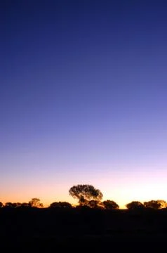 Sunset in the australian bush Stock Photos