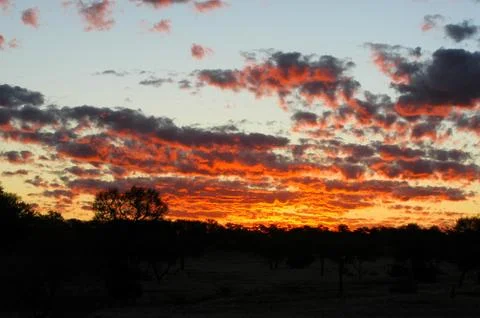 Sunset in the australian bush Stock Photos