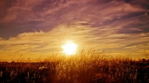 Sunset at Australian outback Stockbeeldmateriaal 12521026