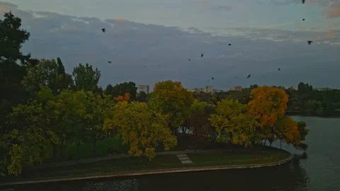 Sunset in a autumn day Stock Footage 219091953