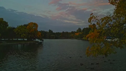 Sunset in a autumn day Stock Footage 219092076