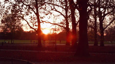 Sunset autumn (fall) park Vídeo Stock 25240145