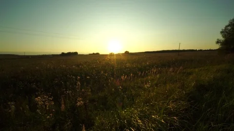 Sunset in the autumn field Stock Footage 115631501