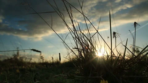 Sunset in Autumn Stock Footage 42271070
