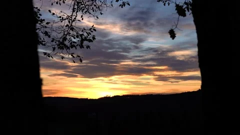 Sunset of Autumn Forest Stock Footage 142312020