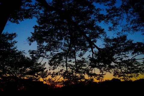 Sunset in autumn Stock Photos