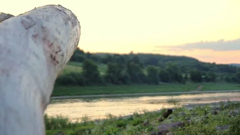Sunset on the autumn river Stock Footage 70112230