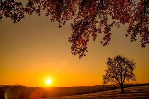 Sunset in autumn with tree Stock Photos