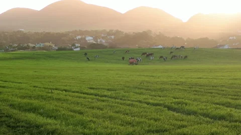 Sunset on Azores Island Stock Footage 59979820