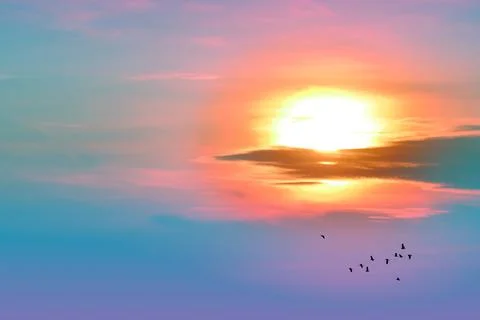 Sunset back on the evening light pastel cloud on sky and birds flying to home Stock Illustration