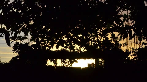 Sunset on the back yard Stock Footage 34078948