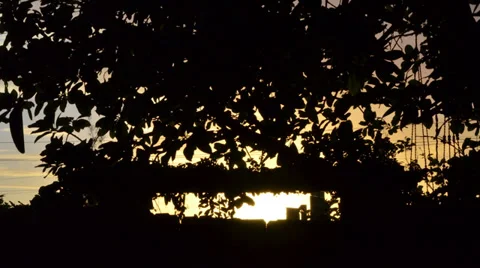 Sunset on the back yard 库存影片 34080839