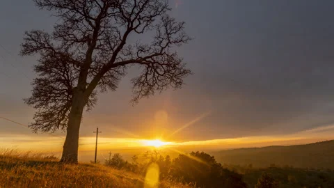 Sunset Backdrops Oak Tree and Telephone Pole in California's Sierra Foothills Stock Footage 282272643