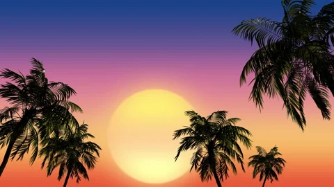 Sunset on the background of a beautiful sky and tropical palms in the wind. Stock Footage 156347504